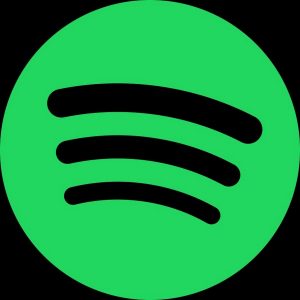 Spotify Premium (4 Month)